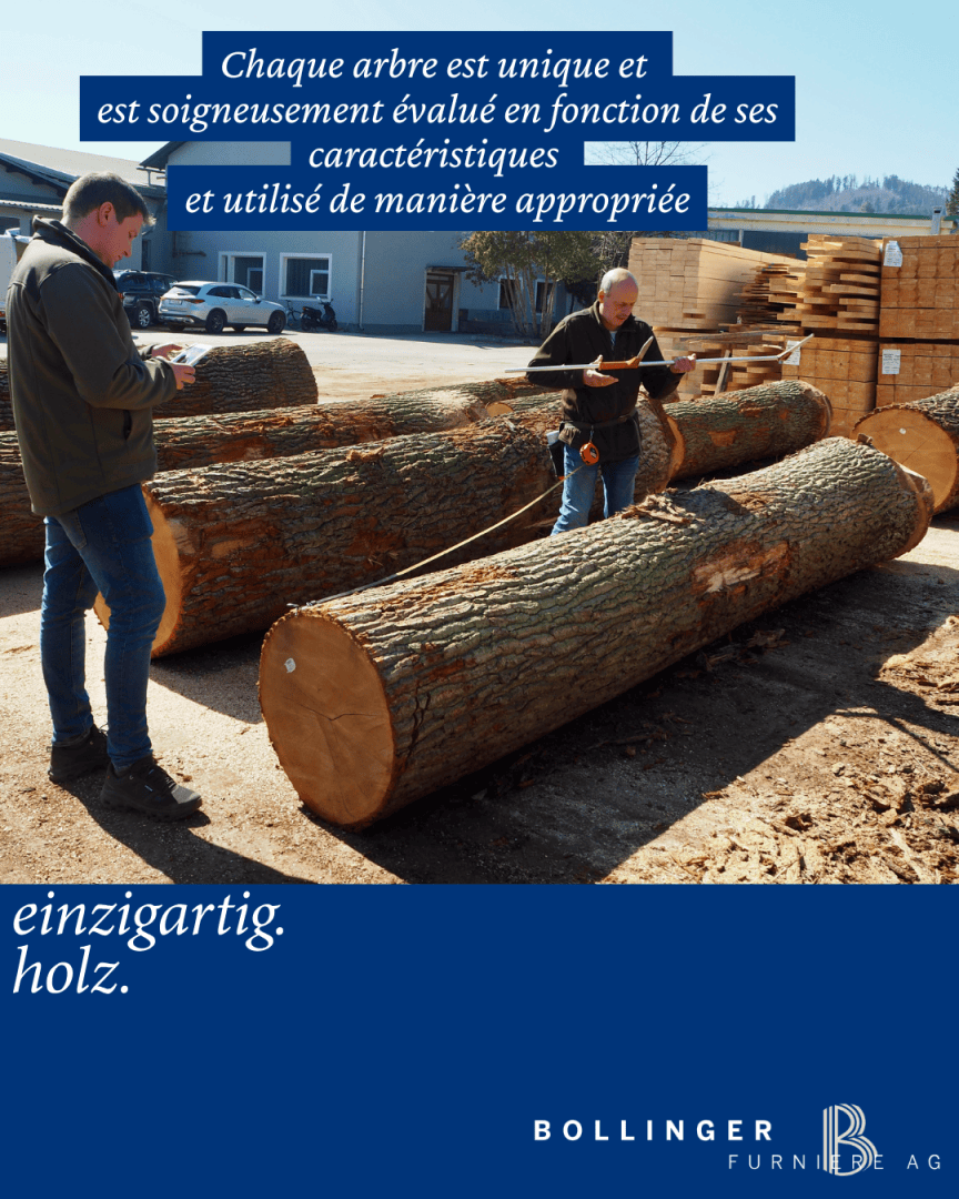 Deux hommes examinent et mesurent de gros troncs d'arbres dans un parc à bois. Des piles de bois coupé se trouvent à l'arrière-plan. Le texte en français souligne le caractère unique de chaque arbre et l'évaluation minutieuse du bois. Le logo de Bollinger FurniBE AG est visible.