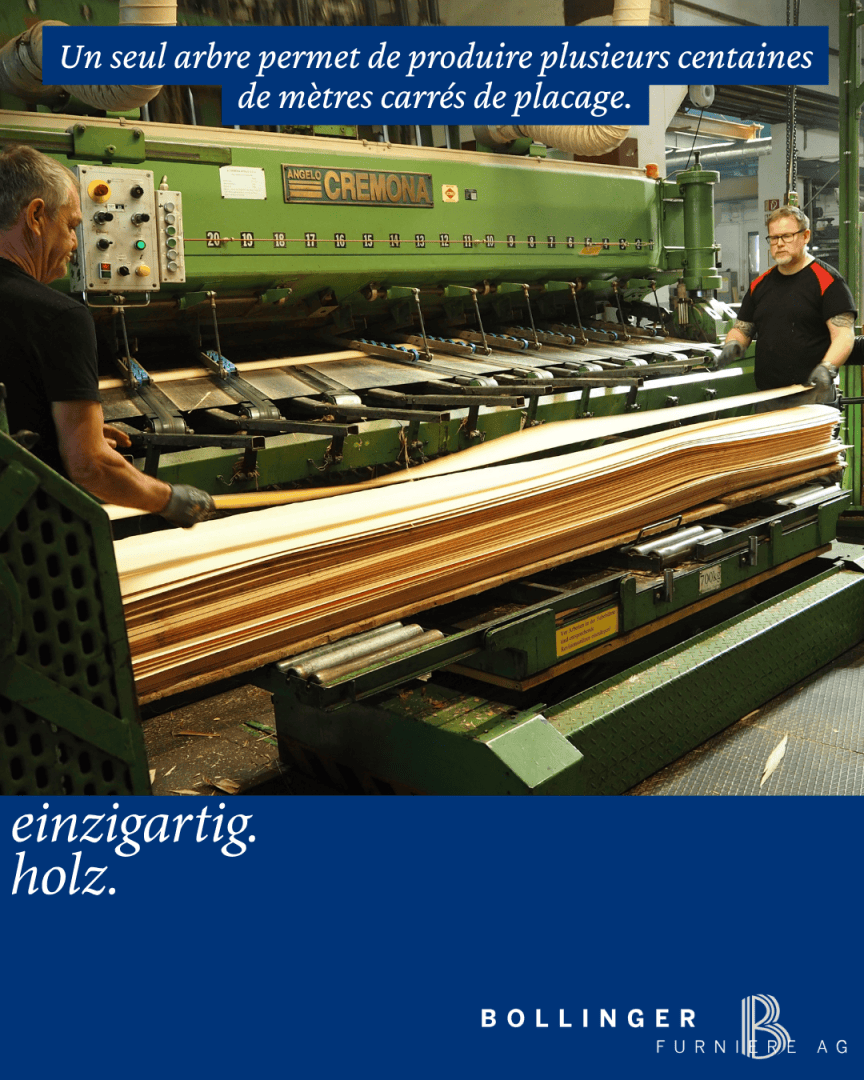 Deux ouvriers font fonctionner une grande machine industrielle produisant de fines feuilles de bois dans une usine. Un texte en français et en allemand explique qu'un arbre peut produire des centaines de mètres carrés de placage. Le logo de Bollinger Furnier AG se trouve en bas.