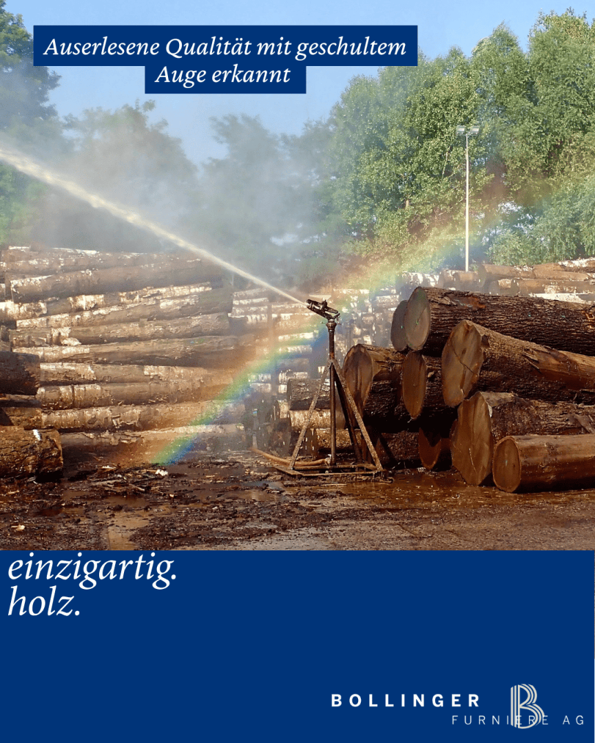 Ein Wassersprinkler besprüht die auf einem Holzlagerplatz gestapelten Baumstämme, wodurch ein Regenbogen entsteht. Das Bild enthält einen deutschen Text über Holzqualität und das Logo des Möbelherstellers Bollinger am unteren Rand.