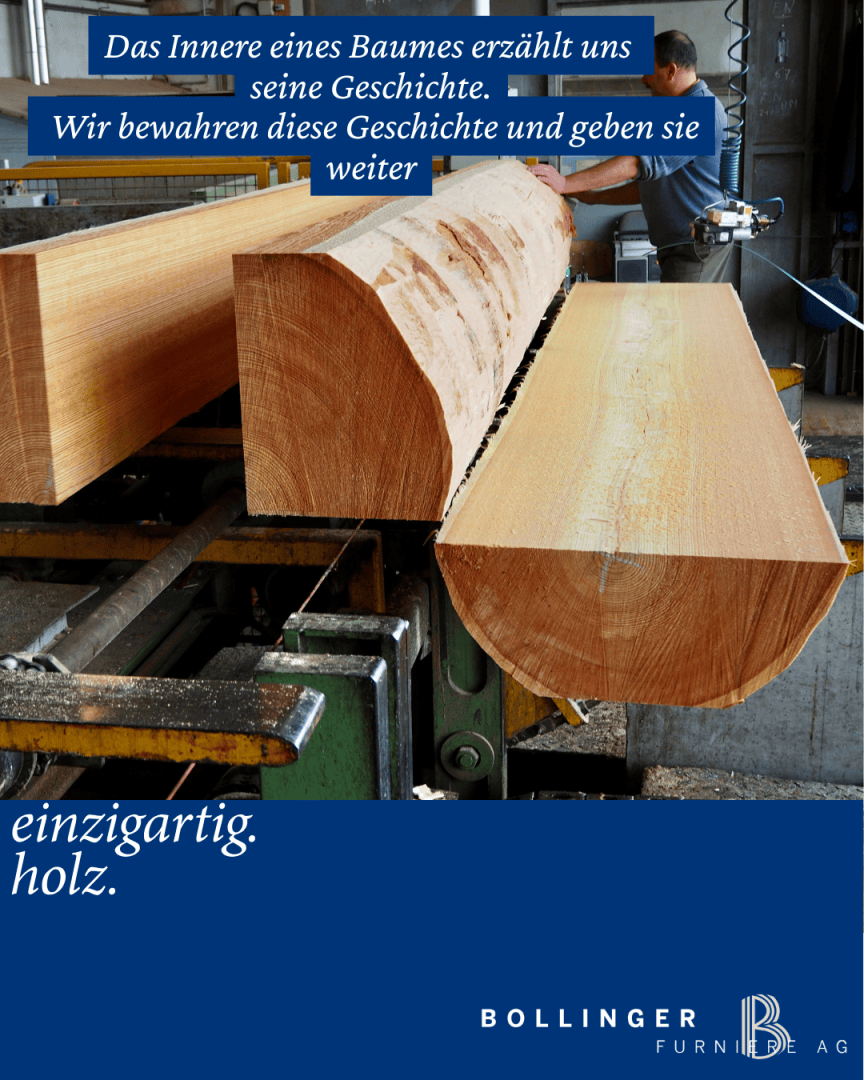 Große Holzstämme werden in einem Sägewerk verarbeitet; ein Stamm wird teilweise zu einem rechteckigen Balken geschnitten. Ein deutscher Text überlagert das Bild, zusammen mit einem blauen Banner und dem Logo der Bollinger Furniture AG am unteren Rand.
