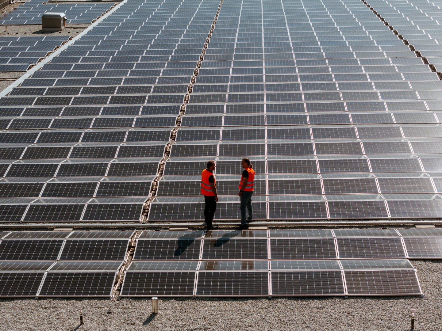 Deux personnes portant des gilets de sécurité orange se tiennent debout et discutent au milieu de rangées de grands panneaux solaires installés sur un toit plat, sous une lumière du jour éclatante.