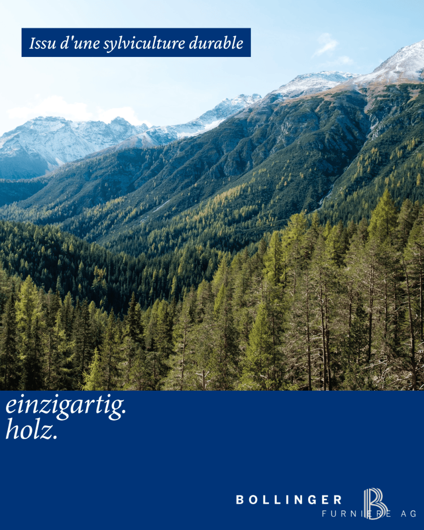 Une forêt dense d'arbres à feuilles persistantes couvre une vallée de montagne sous un ciel bleu avec des sommets enneigés en arrière-plan ; le texte en français et en allemand indique "Issu d'une sylviculture durable" et "Unique. wood" avec le logo de Bollinger AG.