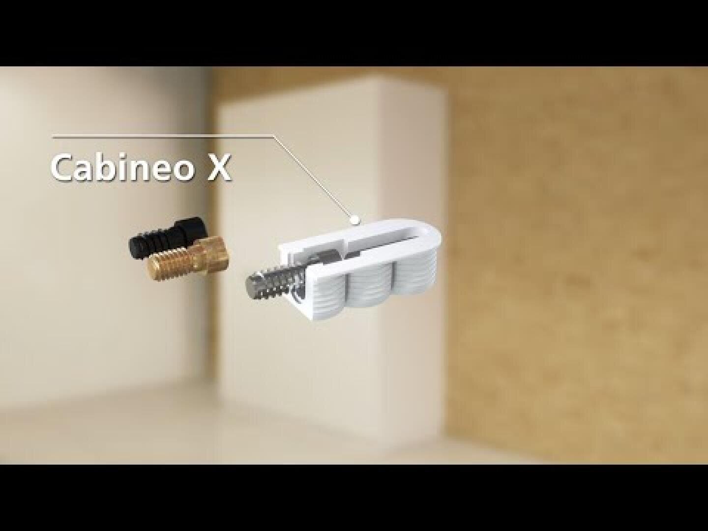 Schéma étiqueté montrant un connecteur Cabineo X avec ses composants, notamment des vis noires et en laiton, et un boîtier en plastique blanc, sur un fond flou en intérieur.