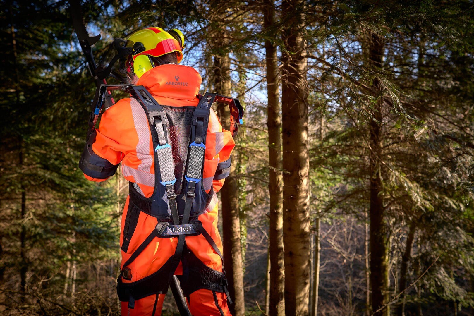 Eine Person in leuchtend orangefarbener Schutzausrüstung und gelbem Helm steht mit dem Rücken abgewandt und mit Gurt und Ausrüstung auf dem Rücken in einem Wald, umgeben von hohen Bäumen.