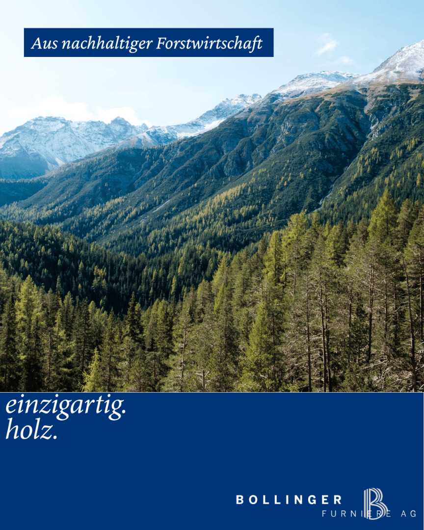 Ein dichter, grüner Wald erstreckt sich über sanfte Hügel mit hohen Bergen im Hintergrund unter einem blauen Himmel. Deutsche Textüberlagerungen lauten Aus nachhaltiger Forstwirtschaft und einzigartig. holz. mit dem Logo der Bollinger Furniture AG.