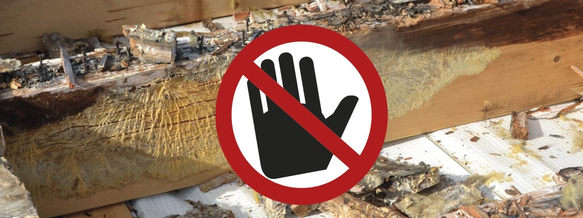 Ein beschädigter, verschimmelter und isolierter Holzbalken ist mit einem "Nicht berühren"-Symbol bedeckt, das eine schwarze Hand innerhalb eines roten Kreises mit einer diagonalen Linie zeigt.
