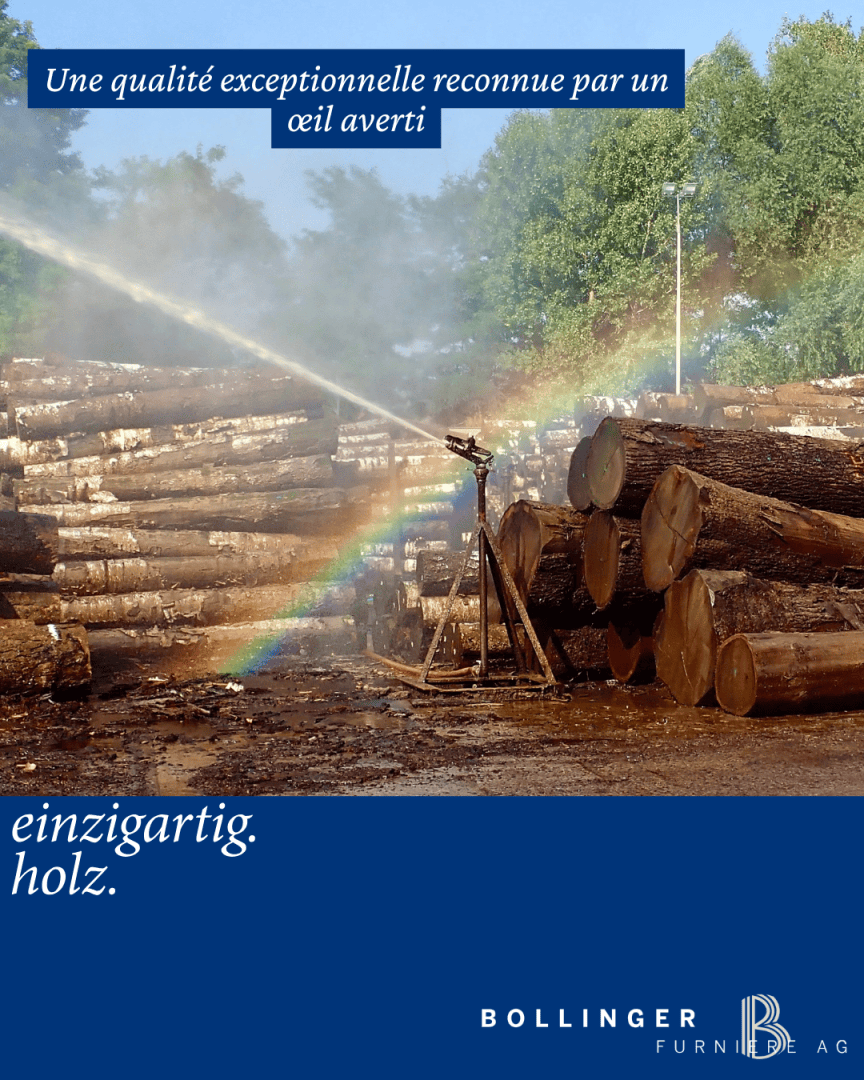 Un arroseur pulvérise de l'eau sur des bûches empilées en plein air, créant ainsi un arc-en-ciel. Un texte en français et en allemand vante la qualité exceptionnelle du bois, avec le logo de Bollinger Furnier AG en bas.