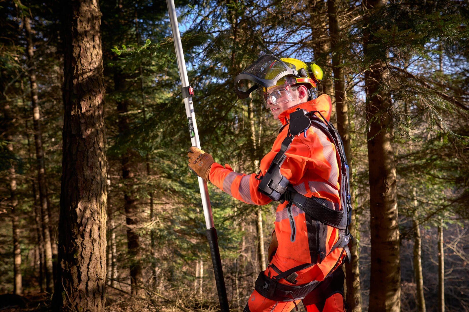 Eine Person in orangefarbener Schutzausrüstung, Helm, Handschuhen und Schutzbrille steht in einem Wald und hält ein langes Stangenwerkzeug in der Hand, umgeben von hohen Bäumen im hellen Sonnenlicht.