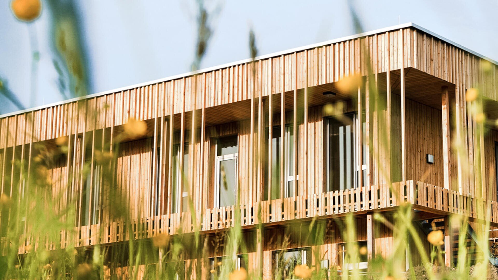 Ein modernes Holzgebäude mit vertikaler Verkleidung und einem Balkon, der durch hohes Gras und gelbe Wildblumen im Vordergrund zu sehen ist.