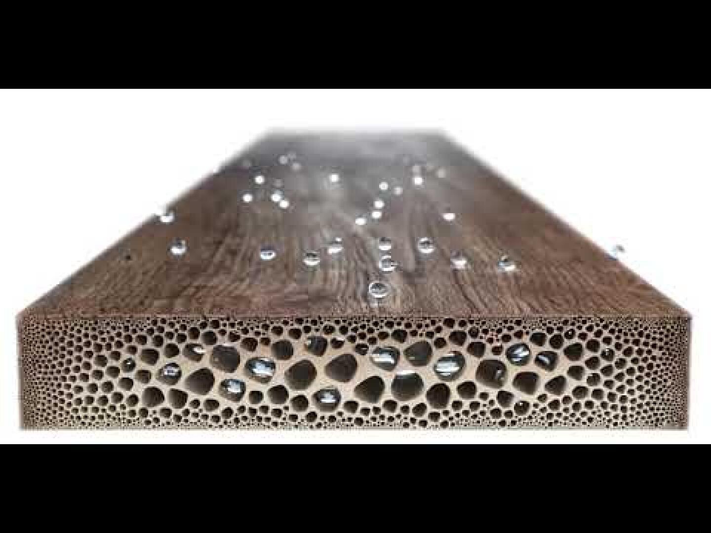 Une coupe transversale d'une planche de bois en gros plan, montrant sa structure interne poreuse, les gouttes d'eau perlant sur la surface lisse, ce qui illustre sa résistance à l'eau.