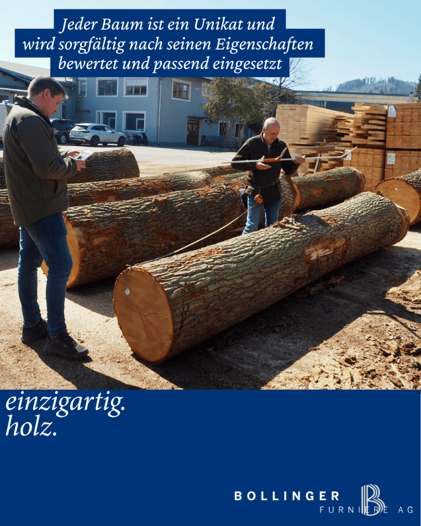 Zwei Männer inspizieren und vermessen große Baumstämme auf einem Holzplatz. Im Hintergrund sind Stapel von geschnittenem Holz und ein Gebäude zu sehen. Auf dem Bild sind ein deutscher Text und das Firmenlogo zu sehen.