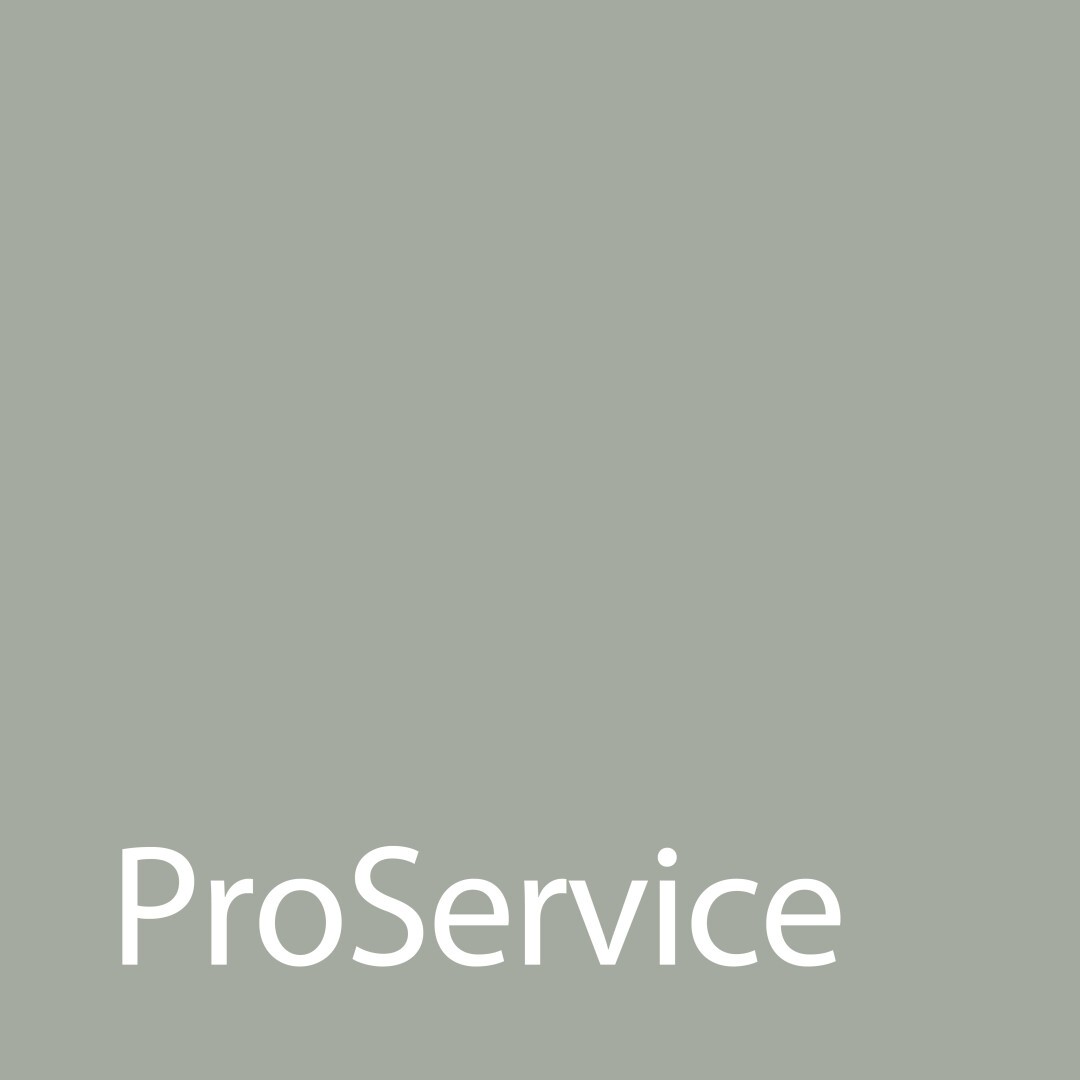 Carré gris clair avec le mot « ProService » en grandes lettres blanches en bas à gauche de l'image. L'arrière-plan est uni et il n'y a aucun autre élément.