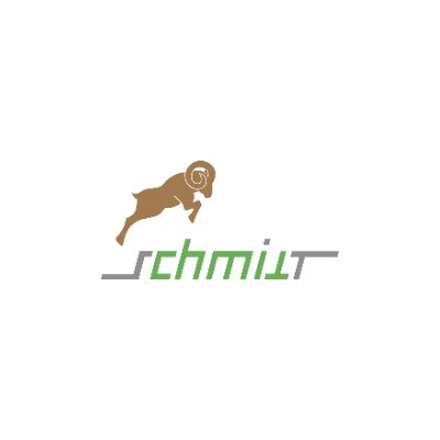Logo Formteilbau Schmitt GmbH & Co KG