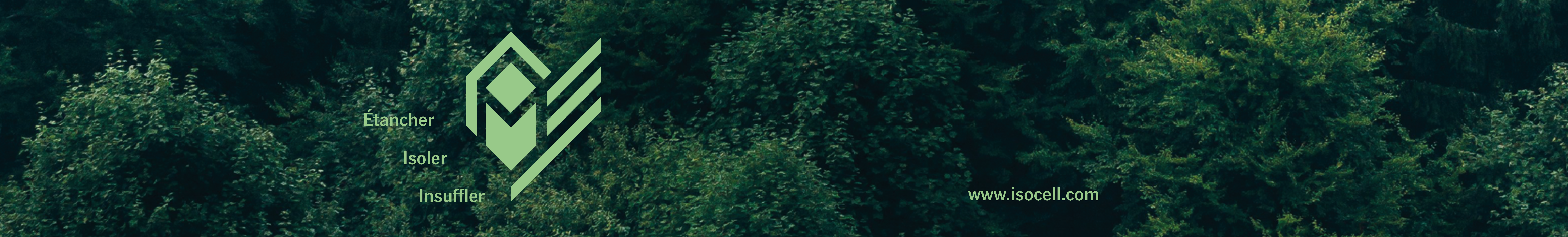 Un fond de forêt vert foncé avec un logo géométrique et un texte vert clair : Examiner | Solve | Insure | trustME, et le site web www.itsvel.com.